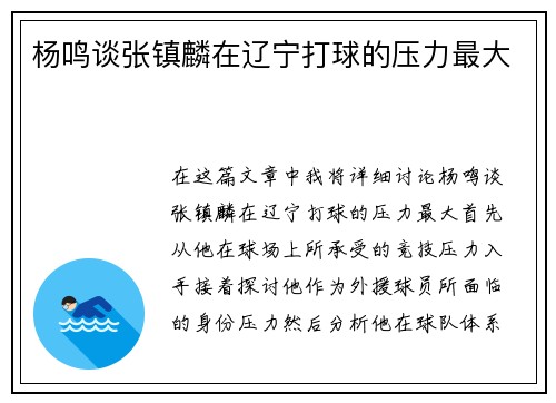 杨鸣谈张镇麟在辽宁打球的压力最大